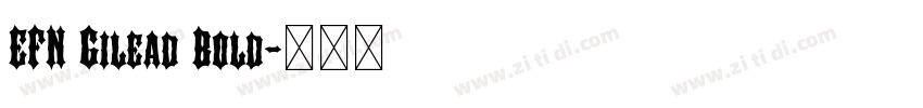 EFN Gilead Bold字体转换